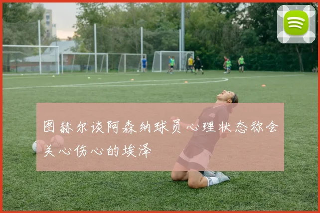图赫尔谈阿森纳球员心理状态称会关心伤心的埃泽