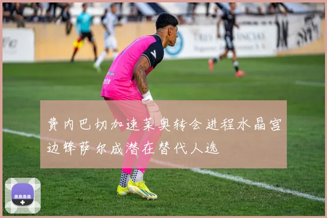 费内巴切加速莱奥转会进程水晶宫边锋萨尔成潜在替代人选